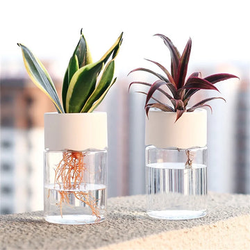 Hydroponic Plant Pots Transparent  Planting Vase Plastic Pot For Plants Stylish Container Planters Home Desk Decor Flowerpot