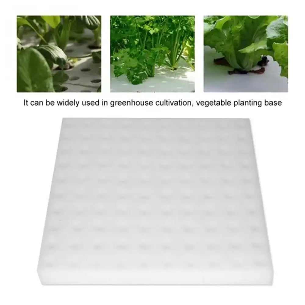 100Pcs/steet Soilless Hydroponic Seedling Sponges Nursery Pots Vegetable Planting Square Seedling Sponge Blocks Garden Accessori