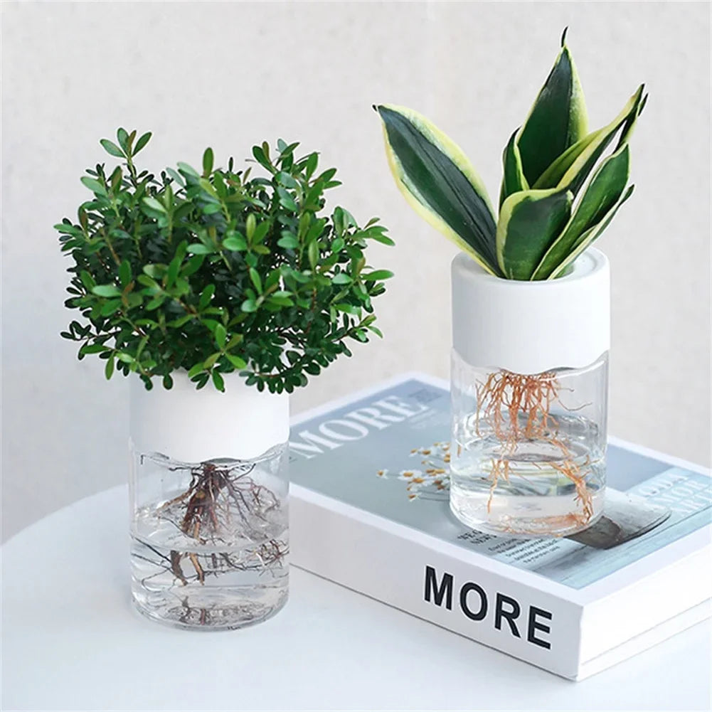 Hydroponic Plant Pots Transparent  Planting Vase Plastic Pot For Plants Stylish Container Planters Home Desk Decor Flowerpot