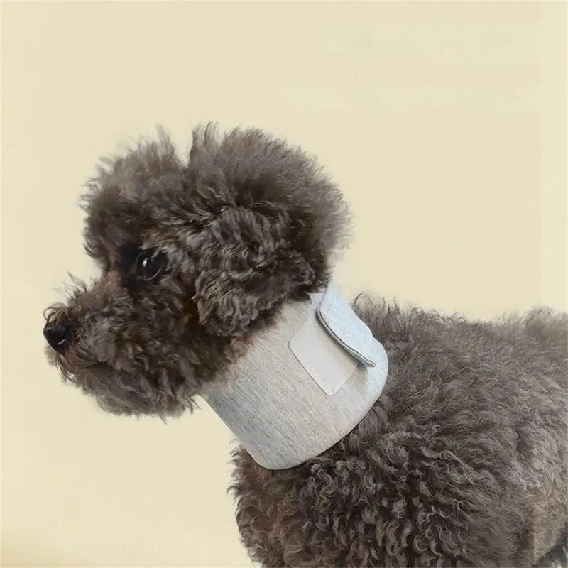 Neck Ring Anti-lick Wound Healing Protection Adjustable Cat Pet Collar Surgery Dog Cat Recovery Collar