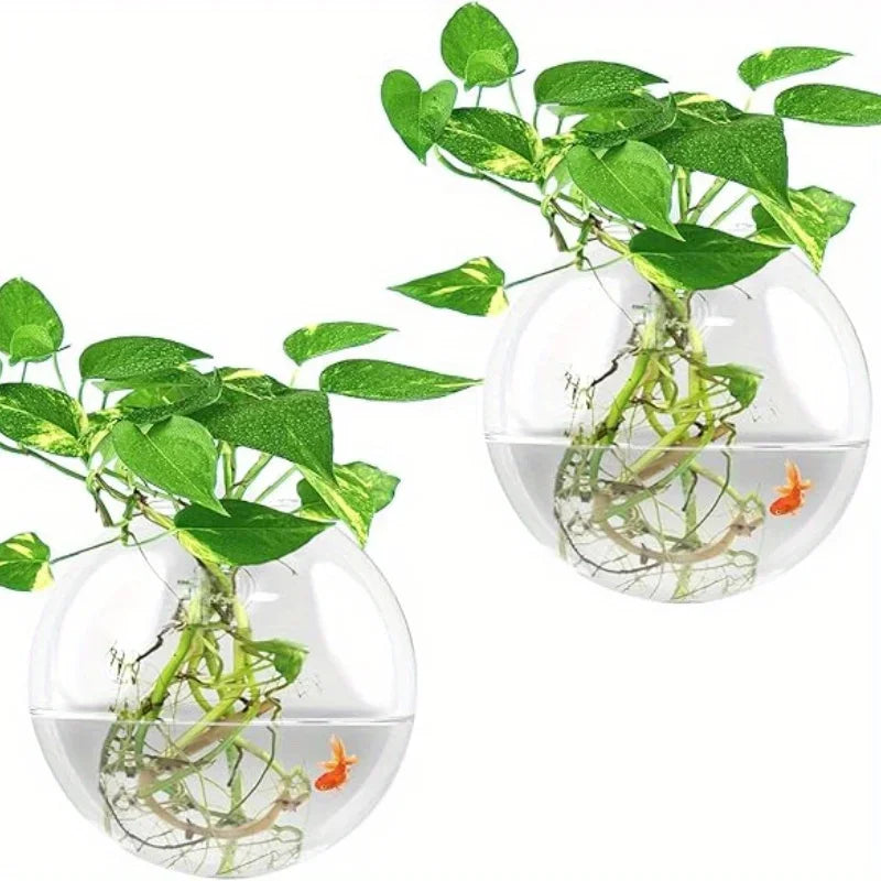 Transparent Glass Vase Wall Hanging Hydroponic Terrarium Fish Tanks Potted Plant Flower Pot Dia 8cm/10cm/12cm